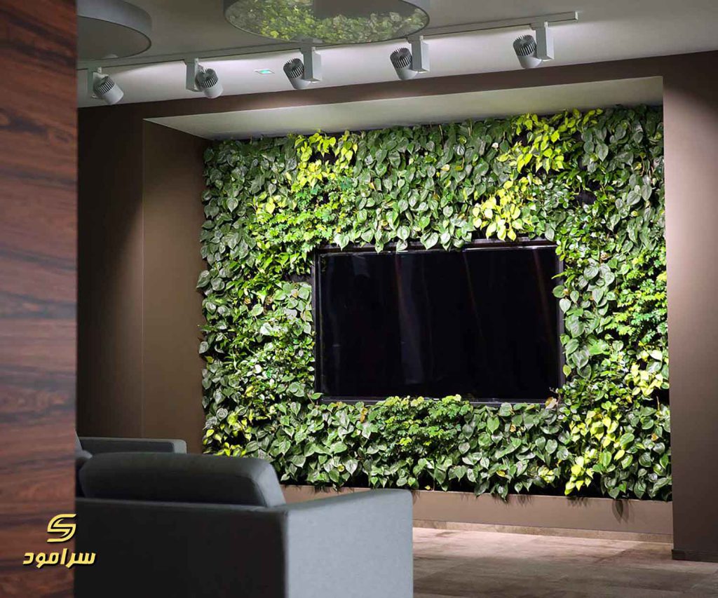 طراحی دیوار پشت تلویزیون با گرین وال