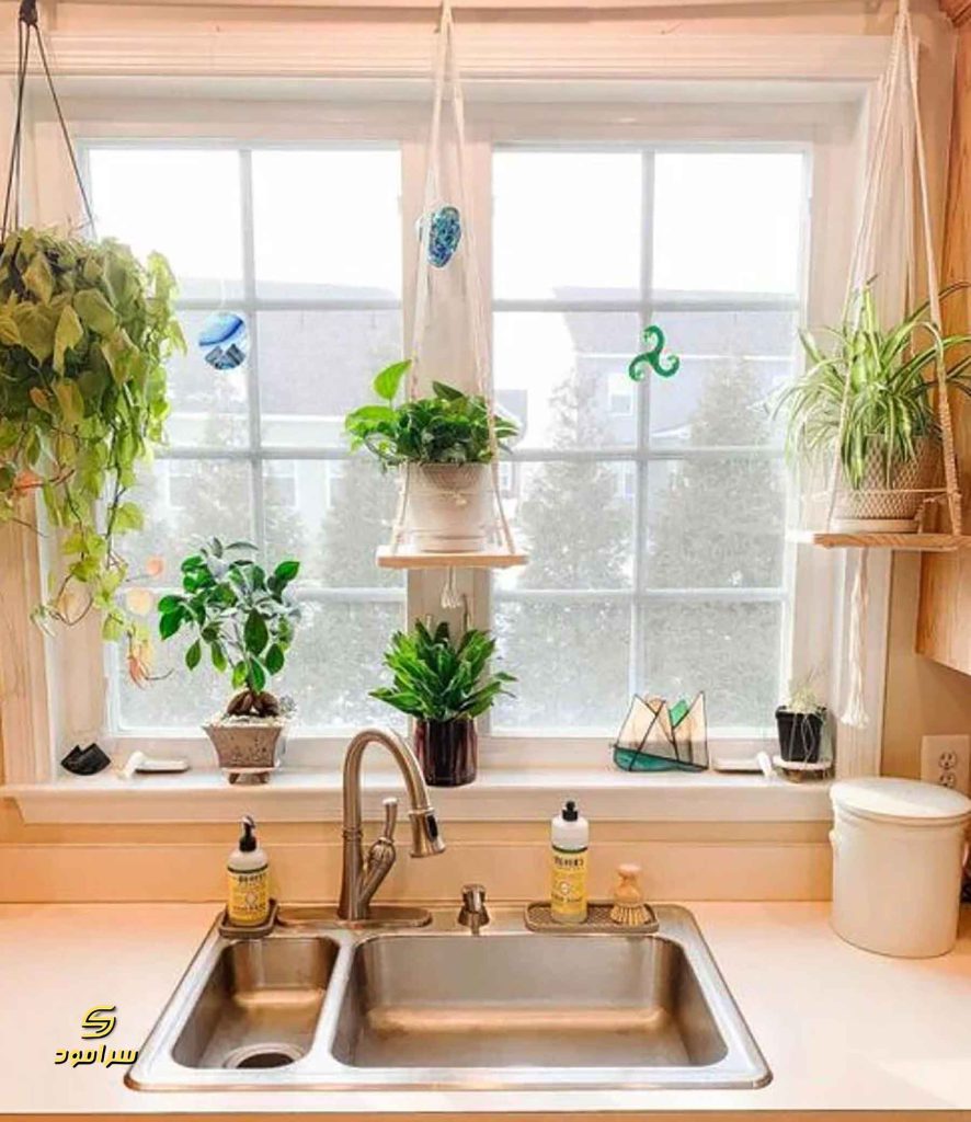 آشپزخانه شیک با گیاهان طبیعی